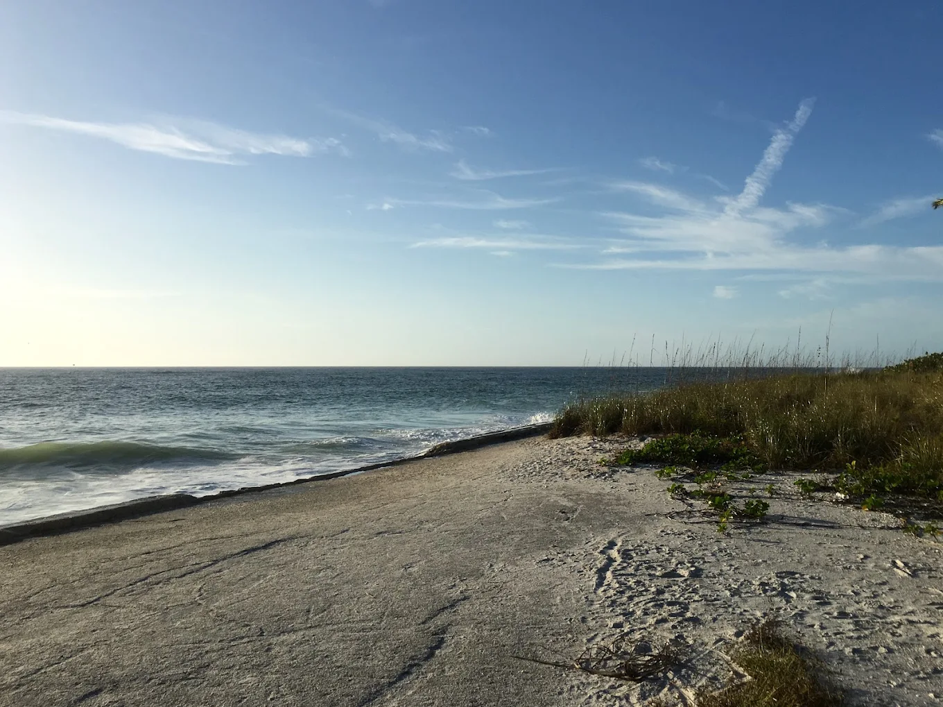 beachfront in sarasota,FL near center for hernia repair